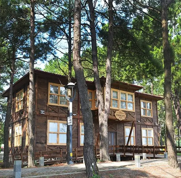 Terme Miliç Tesisleri